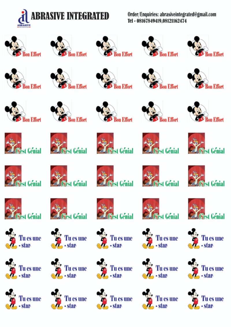 FRENCH MOTIVATIONAL STICKERS - Image 8