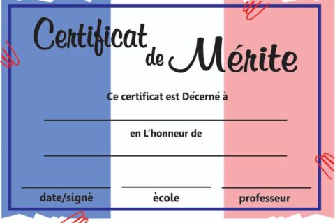FRENCH CERTIFICATE OF MERIT