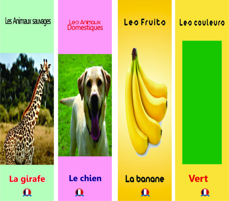 FLASHCARDS (Long flashcards) - Image 5