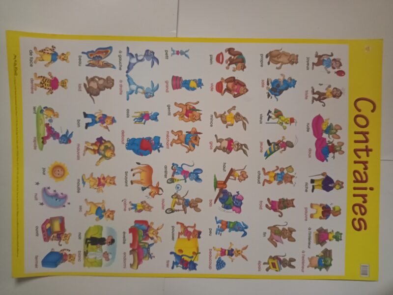 BIG CHARTS - Image 19