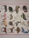 BIG CHARTS - Image 12