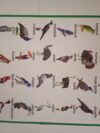 BIG CHARTS - Image 9