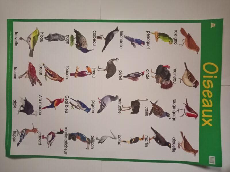 BIG CHARTS - Image 9