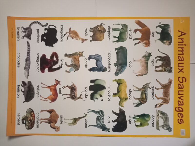 BIG CHARTS - Image 15