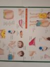 BIG CHARTS - Image 13