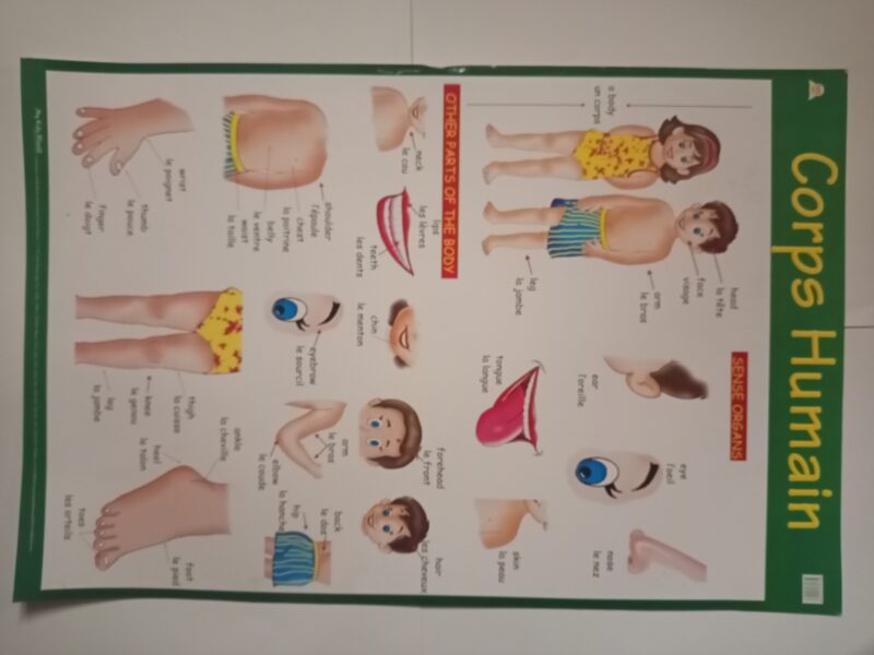 BIG CHARTS - Image 13