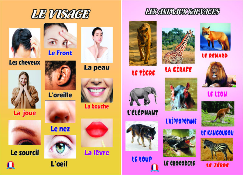 FLASHCARDS (Big flashcards) - Image 18