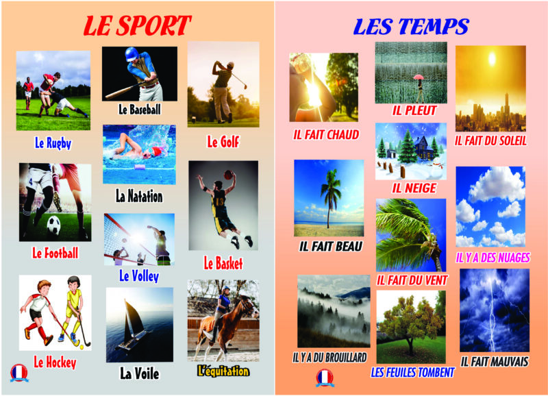 FLASHCARDS (Big flashcards) - Image 16