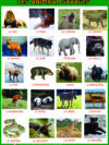 SMALL CHARTS - Image 7